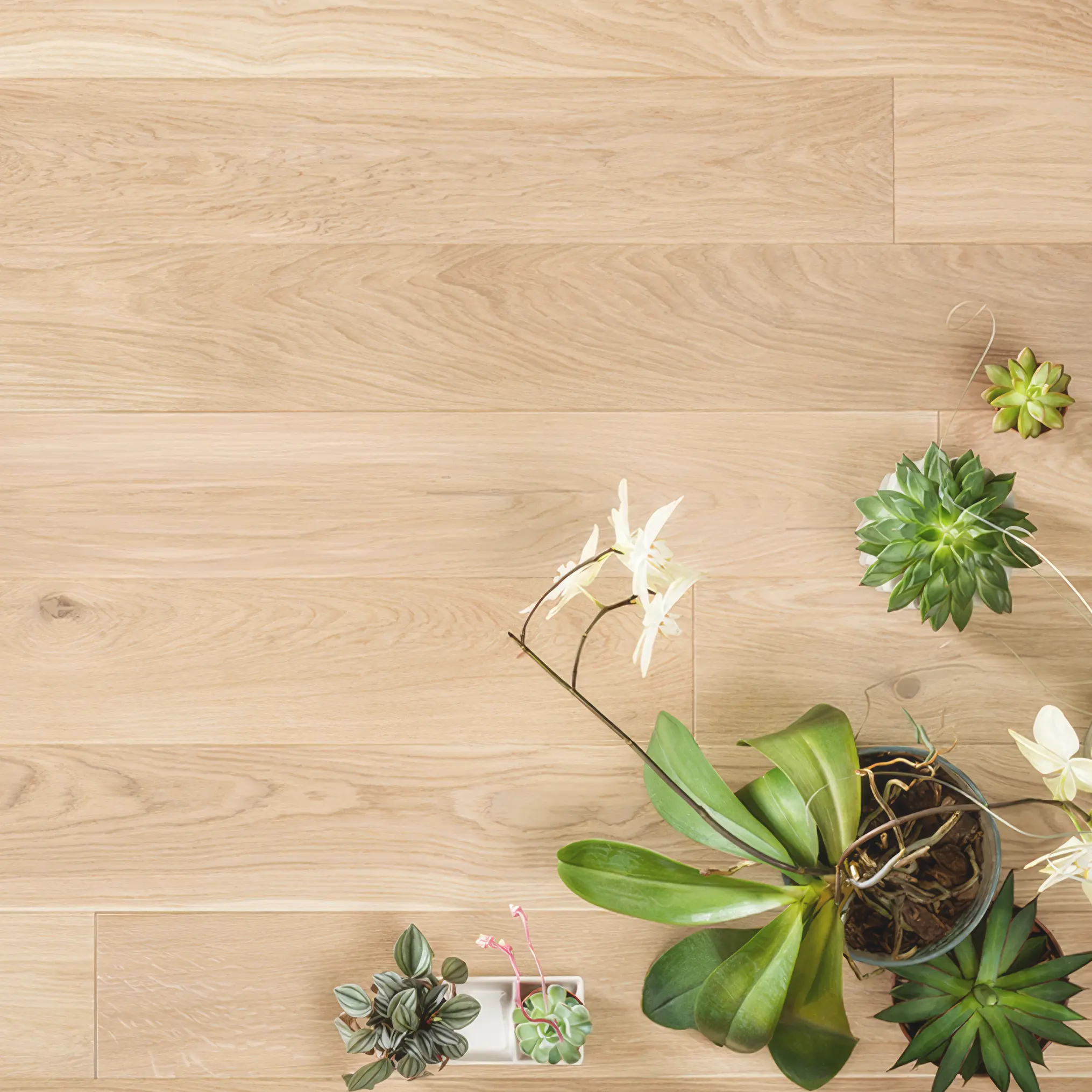 vanilnyj-rustikalnyj-2030×2030