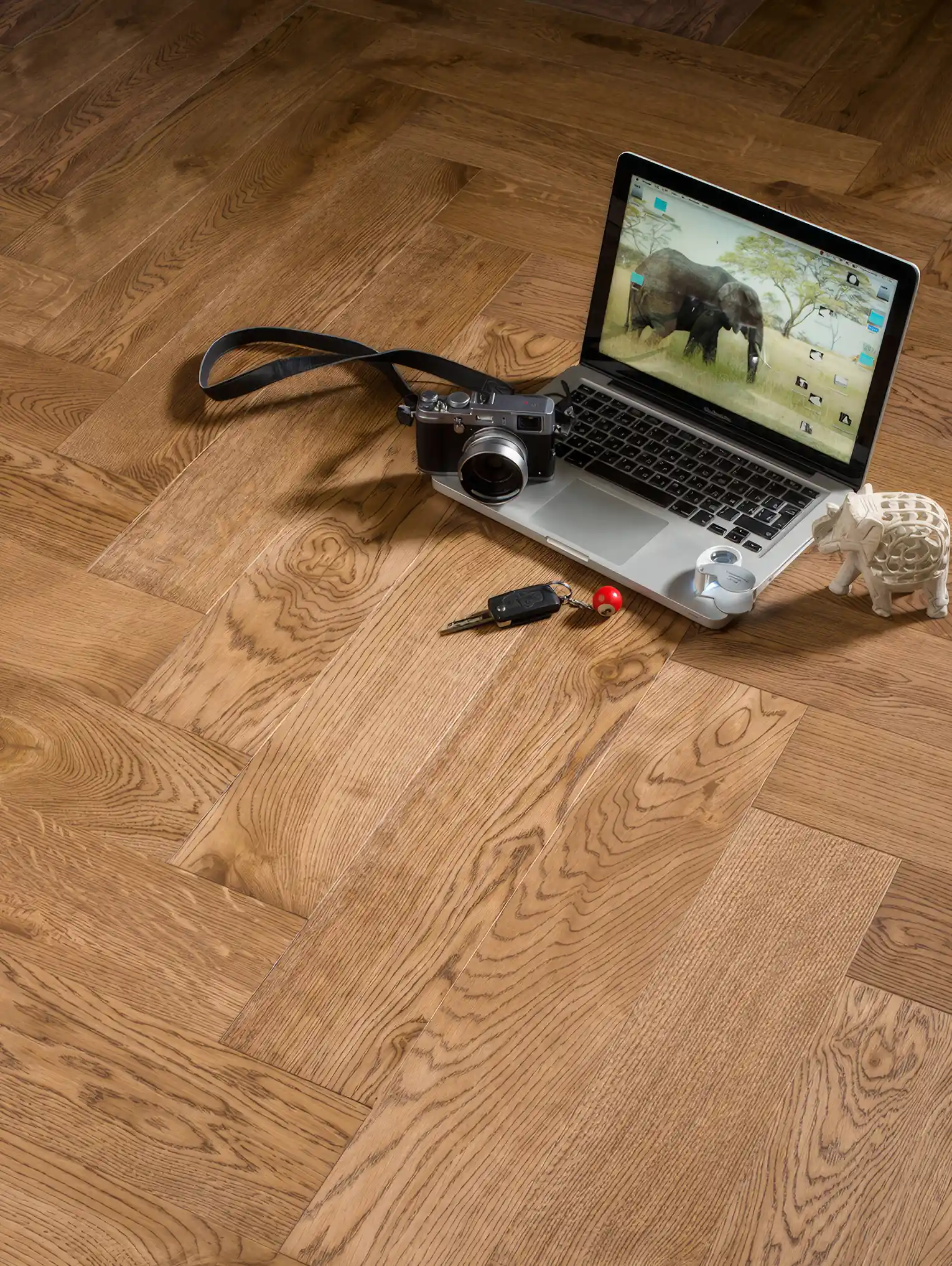 kedr-rustikalnyj-1530×2034