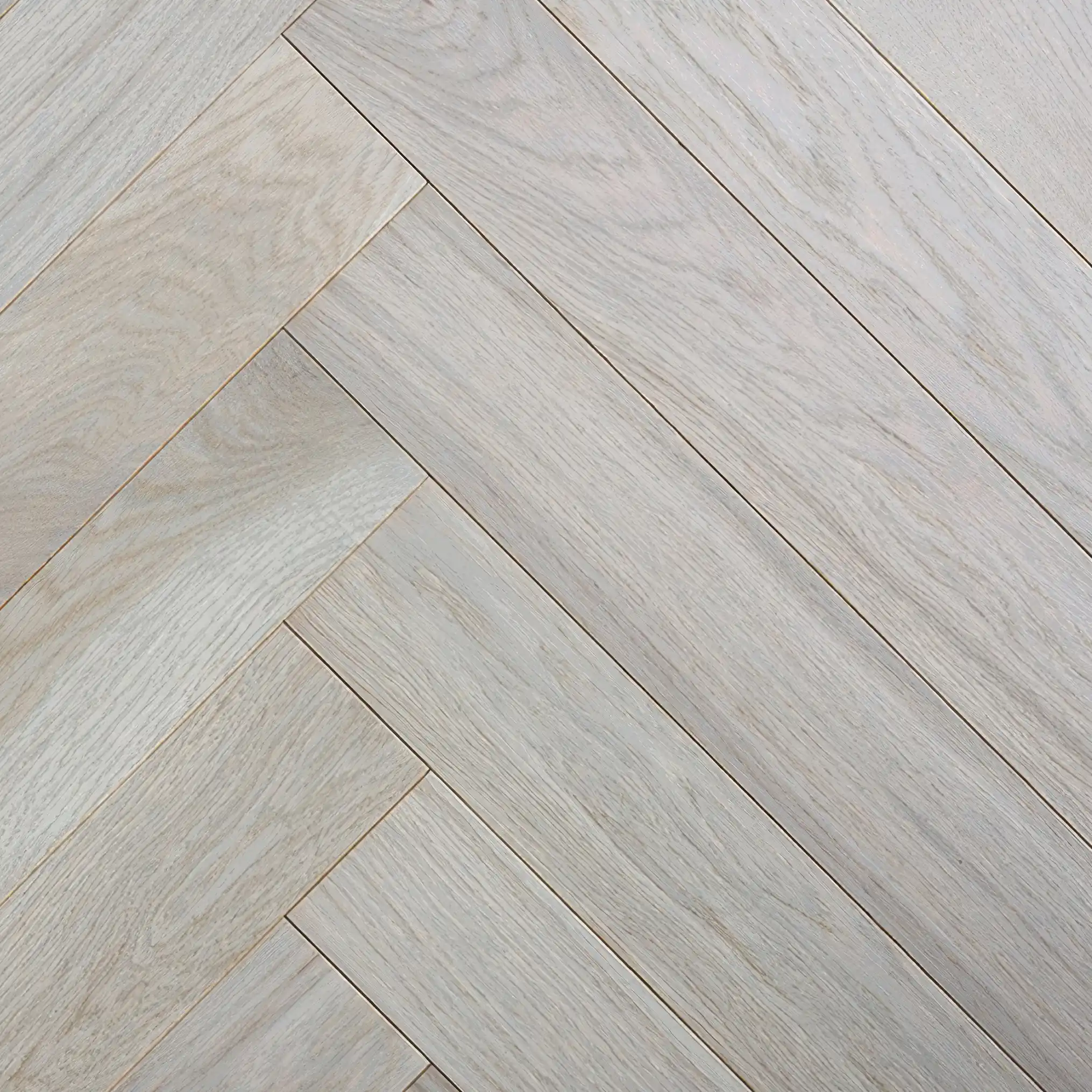 seraya-pejna-2030×2030