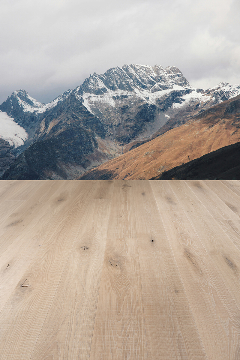 coswick_designer solution_elbrus_v05