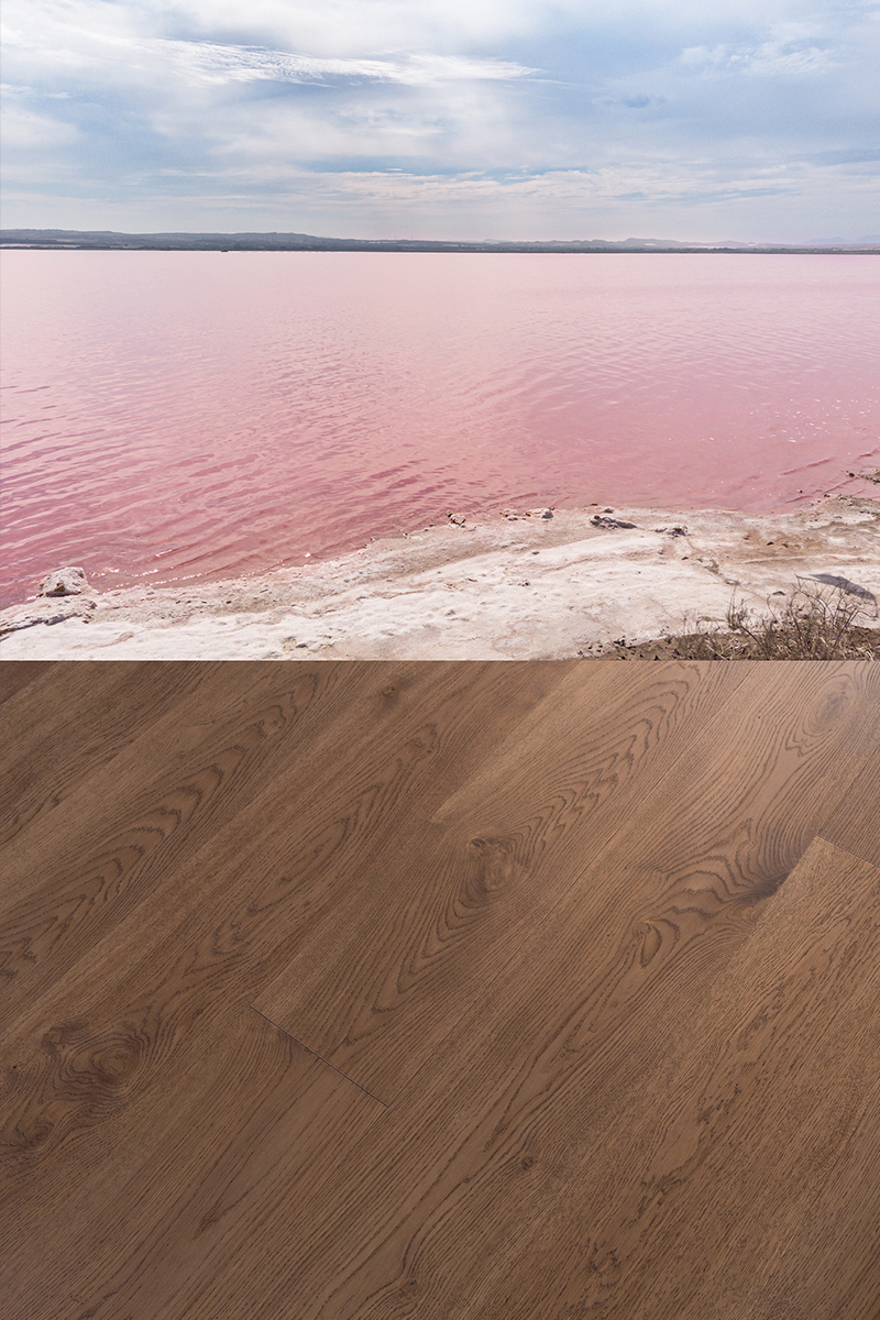 coswick_designer solution_lake elton_v04